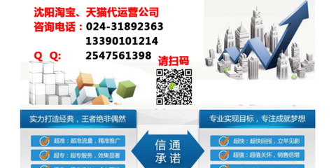 沈陽(yáng)電商代運(yùn)營(yíng) 一站式解決方案助力企業(yè)電子商務(wù)騰飛