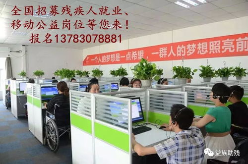 數字賦能，共創未來 電子商務為殘疾人群體帶來的新機遇與信息咨詢服務支持